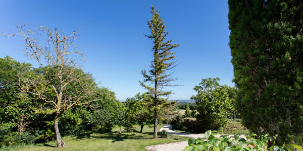 parc arboré à la location à montmaur aude occitanie